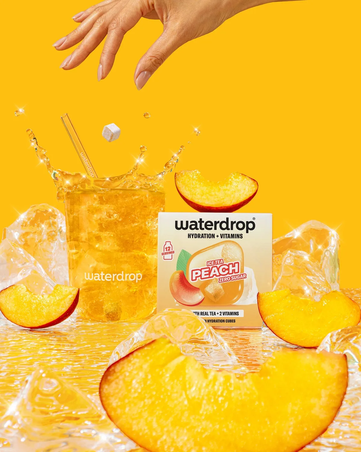Waterdrop EISTEE Set Microdrink Würfel 12er Set 3 Sorten